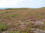 bretagna francia - cap fréhel