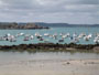 Erquy en Bretagne