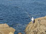 Pointe de Primel en Bretagne