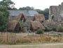 france brittany - forest