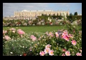 versailles - giardini reggia