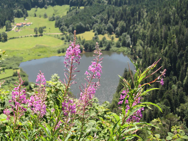 laghi di lorena, Vosges hills