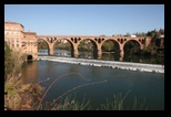 albi