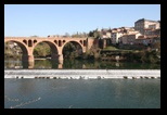 albi