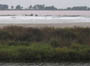 france south - salines