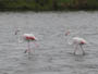 france south - salines