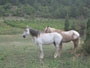 france sud - minerve country