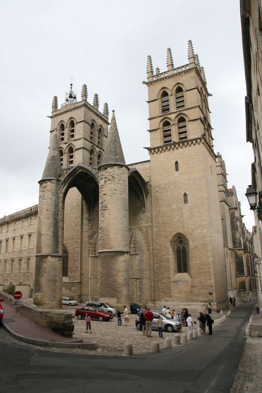 cathédrale de montpellier