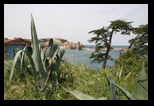 collioure