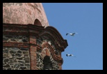 clocher glise notre-dame des anges  collioure