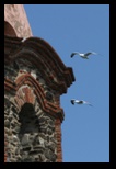 clocher glise notre-dame des anges  collioure