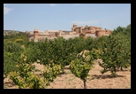 forteresse de salses le chateau